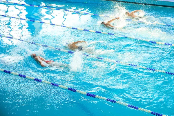 Los Nadadores Compiten Por Velocidad Entre Ellos Piscina — Foto de Stock