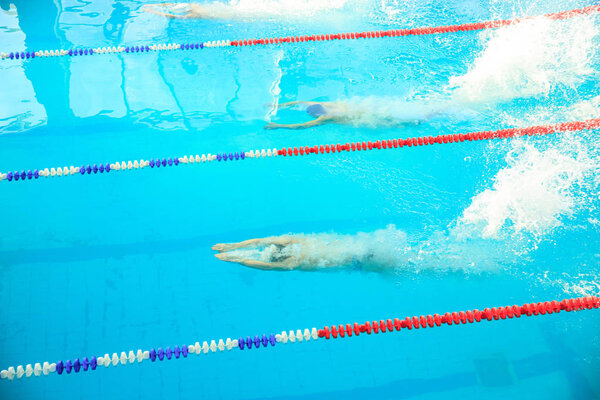 Swimmers compete for speed among themselves in the pool