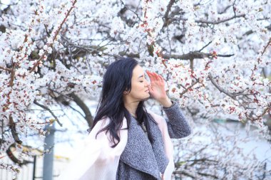 Baharda çiçek açan kiraz ağacındaki esmer kız.