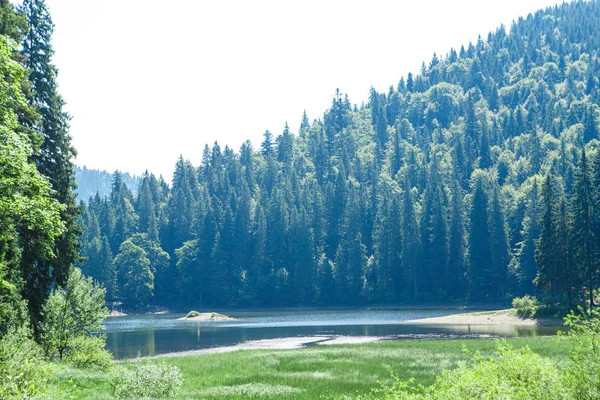 夏は山の中の森の湖 — ストック写真