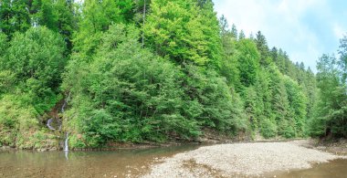 Dağ ormanı nehrine akan bir dere.