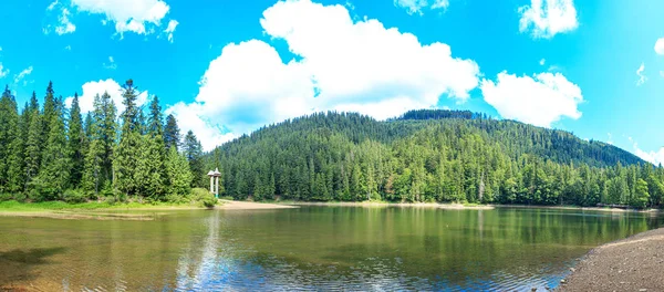 夏は山の中の森の湖 — ストック写真