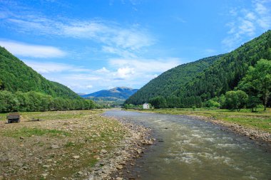 Güneşli bir yaz gününde köyün yakınındaki dağ nehri.