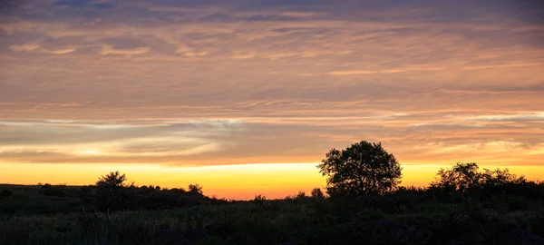 Silhouette of a tree on the right in the sunset sky