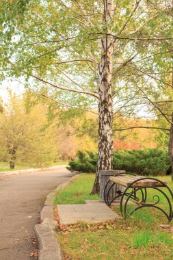 Bir huş ağacının altındaki bankta.