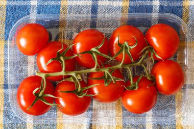 Damalı kumaşın üstündeki saydam bir kutuda filizli taze kırmızı domatesler..
