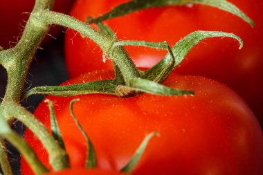 Taze kırmızı domatesler.