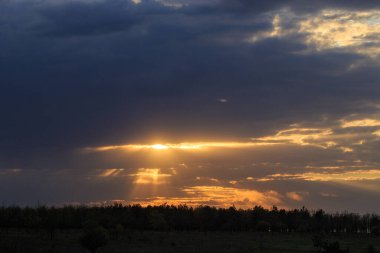 Ormanın eteklerinde gün batımı ya da gün doğumu