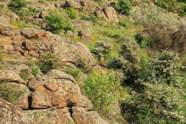 Bozkırda granit taşlar