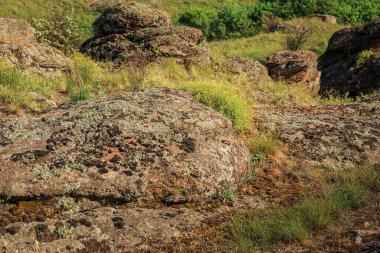 Bozkırda yosun ve mantarla kaplı granit taş.