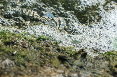 Kayanın yanındaki suda kabarcıklar var.