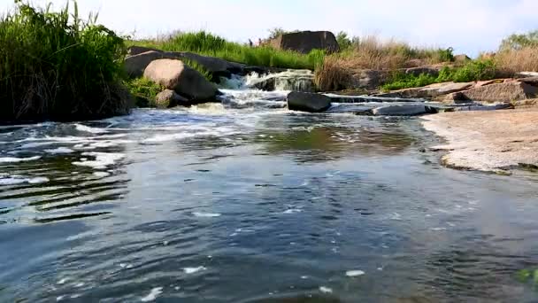 Pequena Cachoeira Cascata Rio — Vídeo de Stock