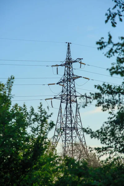 Power line support between trees, sharpness on a support