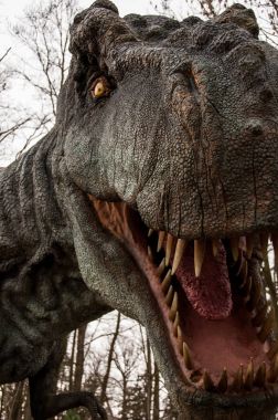 Portre, T Rex