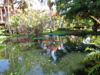 Laguna Yapay Parkta Doğal