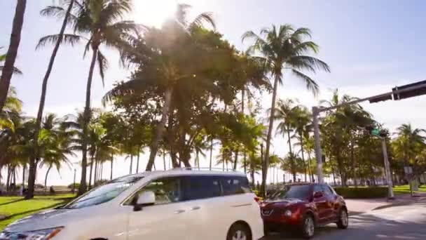 Водіння Ocean Drive вулиці, Маямі — стокове відео