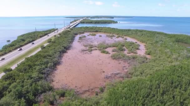 En ö nära Overseas Hwy — Stockvideo