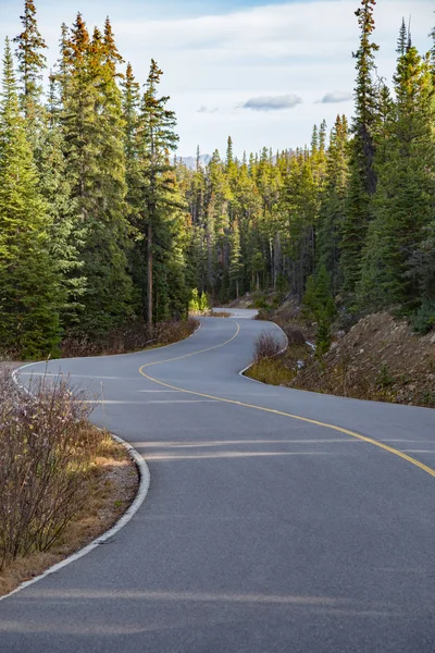 Weg naar de Mount Edith Cavell en de Cavell Lake — Stockfoto