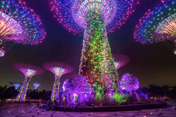 Jardín mágico por la noche, Singapur — Foto de Stock