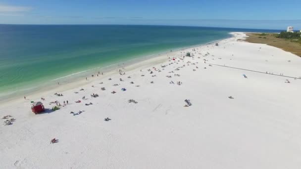 Πετούν πάνω από την παραλία στο κλειδί σιέστας, Φλόριντα. — Αρχείο Βίντεο