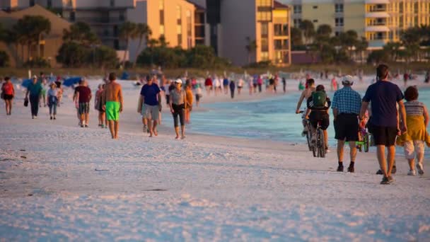 Siesta Key plage publique au coucher du soleil — Video