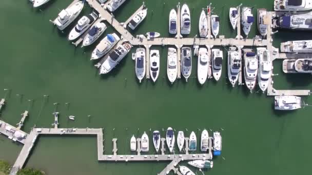 Εναέρια άποψη από τα σκάφη της Μαρίνας, Φλόριντα. — Αρχείο Βίντεο