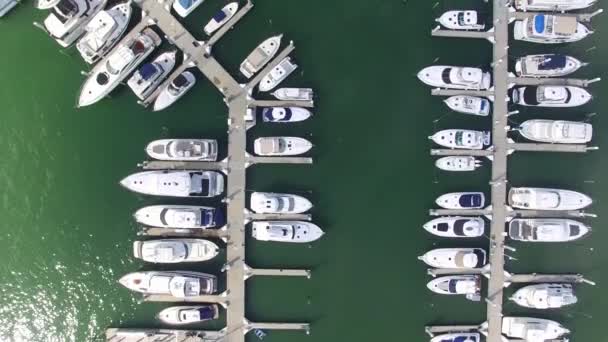 Vista aérea de los barcos del puerto deportivo, Florida . — Vídeo de stock