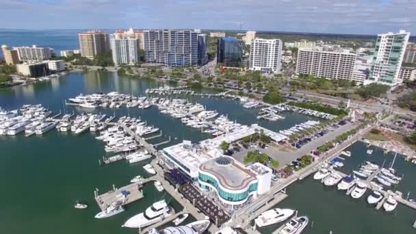 Flygfoto över centrala Sarasota, Florida. — Stockvideo