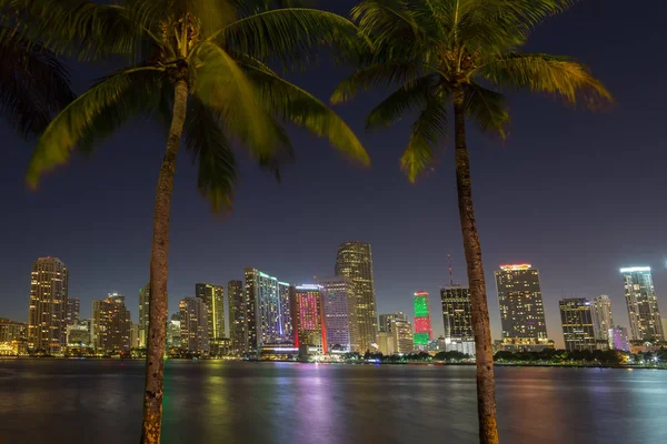 Skyline de Miami a través de palmeras — Foto de Stock