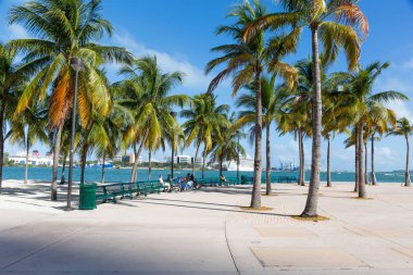 Miami bayfront park