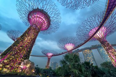 Supertree Grove Gardens Körfez gece, Singapur