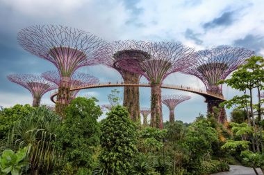Supertree Grove Gardens Körfez gece, Singapur