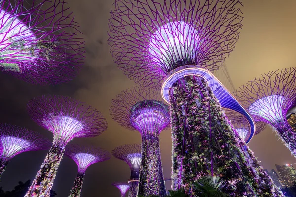 Supertree Grove en Gardens by the Bay por la noche, Singapur — Foto de Stock