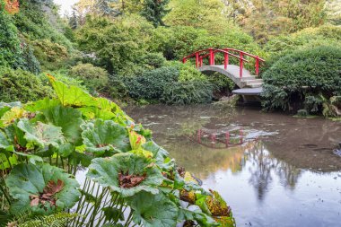 Sonbahar zaman Japon Yeşil Park kırmızı köprü