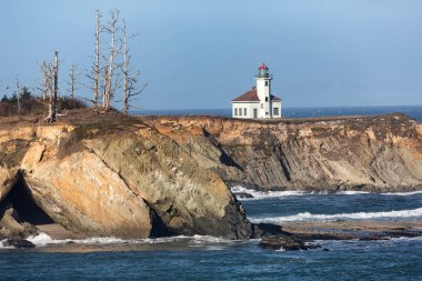 Cape Arago feneri Oregon kıyılarında