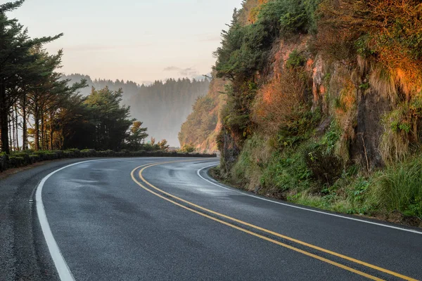 Estrada 101 em Oregon EUA por heceta cabeça farol — Fotografia de Stock