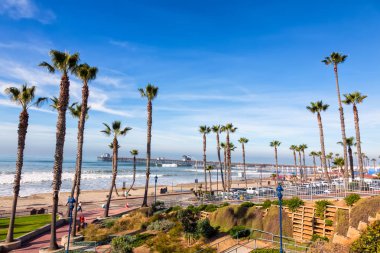 California Oceanside pier palmiye ağaçları Manzaralı