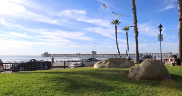 California Oceanside pier gün batımında — Stok video