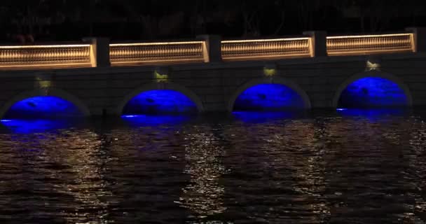 Bellagio fountain at night — Stock Video