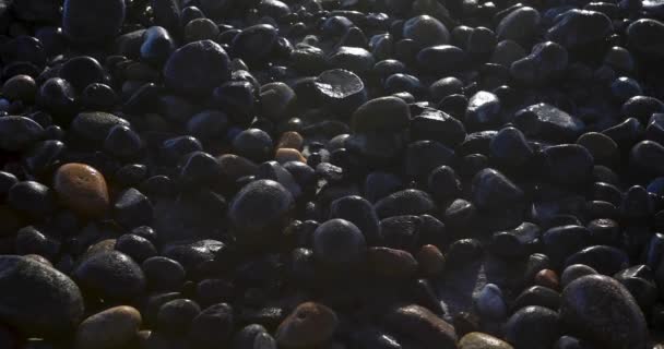 Closeup of a stony beach at evening — Stock Video