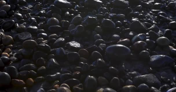 Closeup of a stony beach at evening — Stock Video