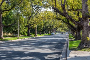 Sessiz Beverly Hills Road