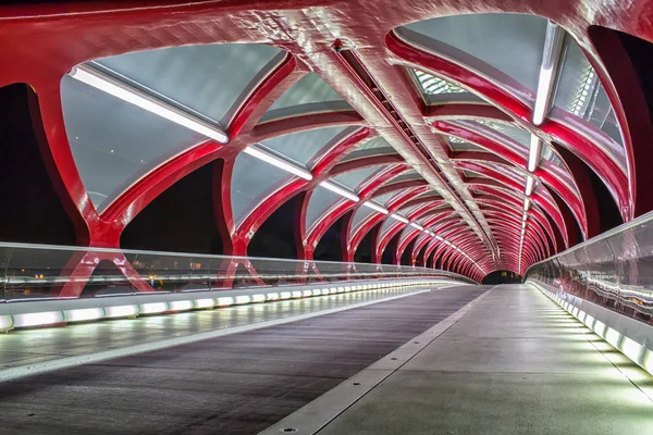 Night view of Calgarys Peace Bridge.