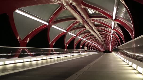 Night view of Calgarys Peace Bridge. — Stock Video