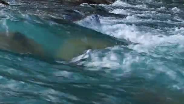 Turquiose vannstrømmer ved fjellelv – stockvideo