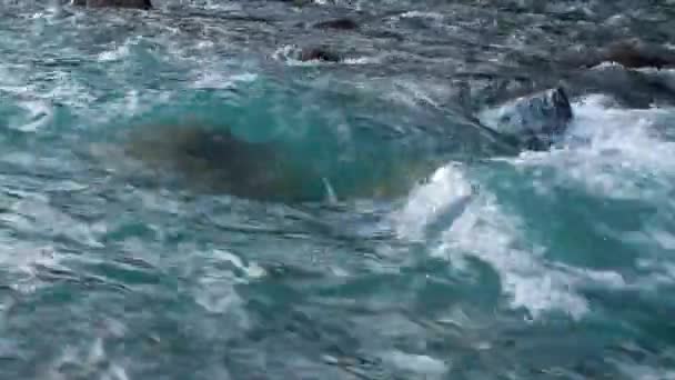 Turquiose waterstraal op de mounrain rivier — Stockvideo