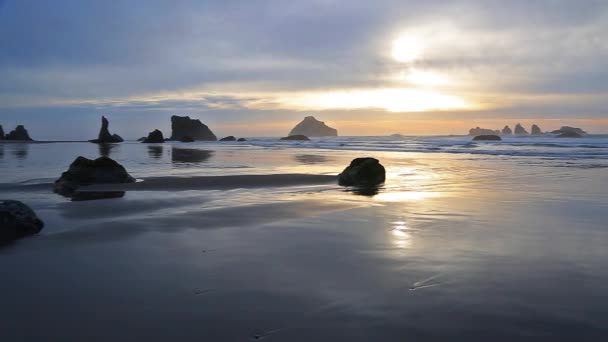 Surf al atardecer en la costa del Pacífico — Vídeos de Stock