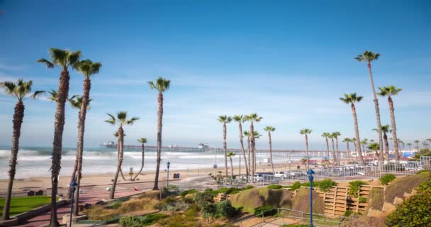 Palmiye ağaçları timelapse ile California Oceanside pier — Stok video