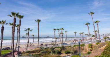 Palmiye ağaçları timelapse ile California Oceanside pier