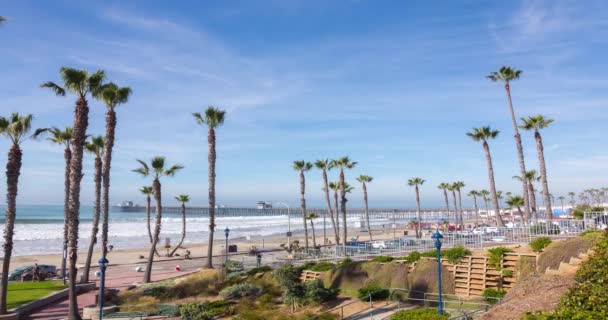 Dermaga Oceanside California dengan pohon palem timelapse — Stok Video